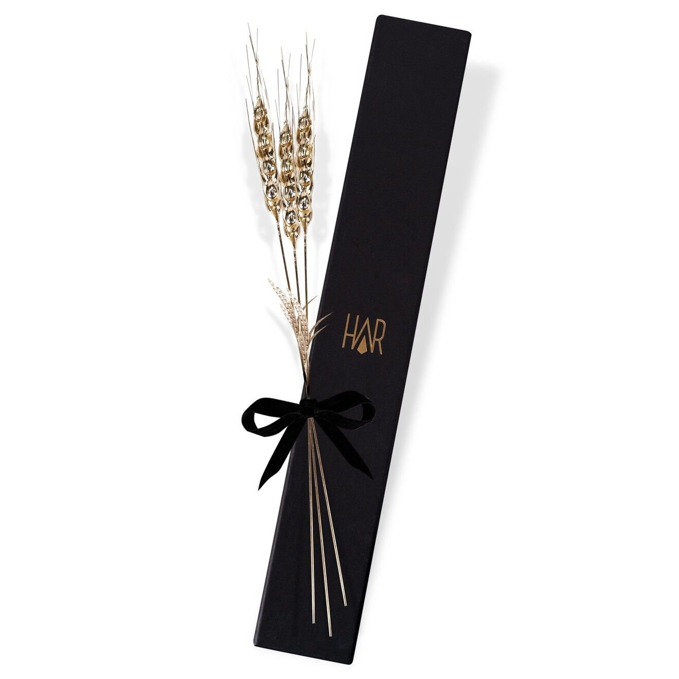 Başak Dalı 3\'lü