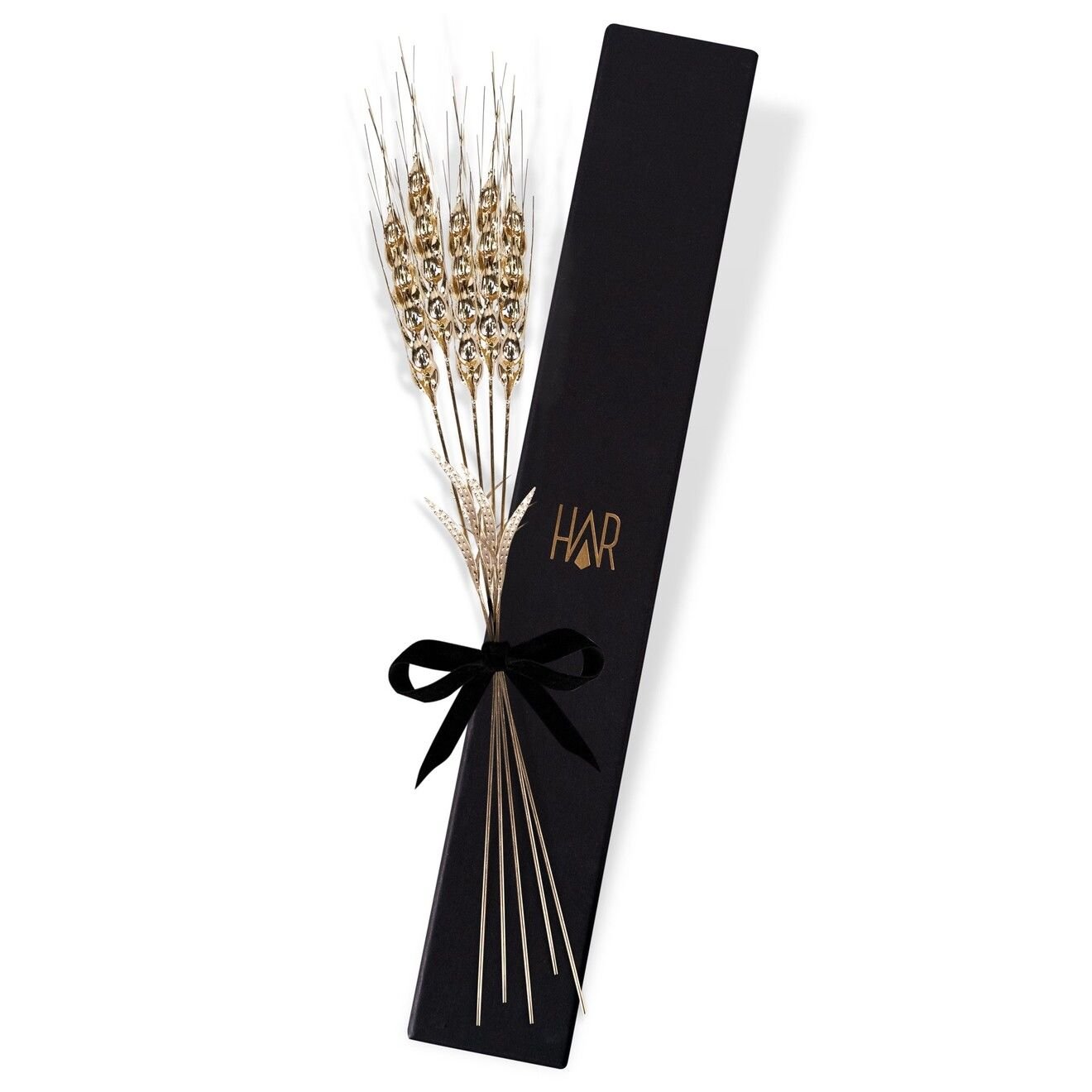 Başak Dalı 5\'li